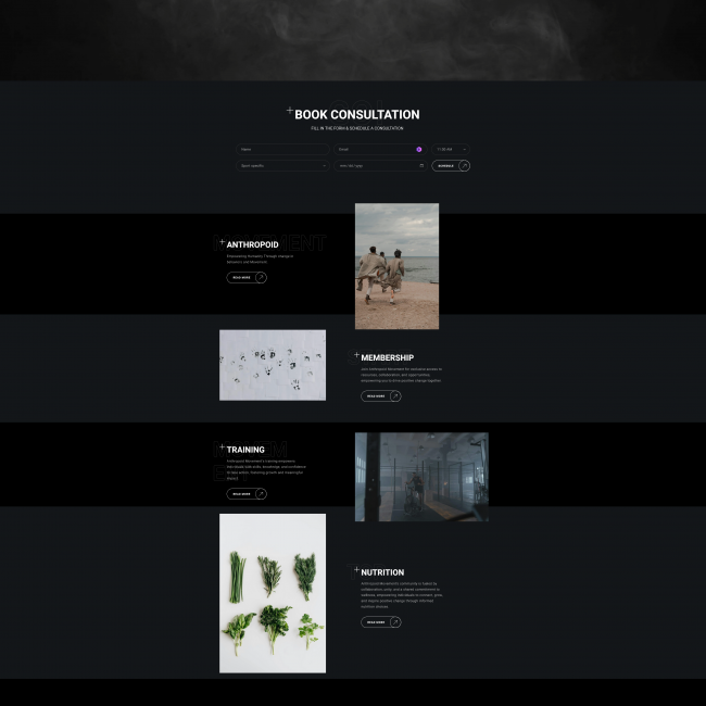 Malaga Marketing - anthropoidmovement